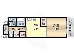 ニドムコート