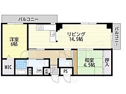 アモール 401