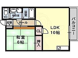 メゾニティクイーン