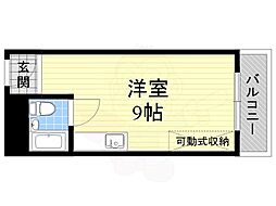 ハイムニシキ