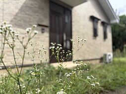 府中市住吉町1丁目 戸建て