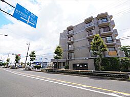 ビーグルマンション東大和