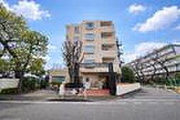 豊栄アンバサダー調布