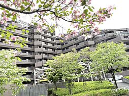 ドラゴンマンション多摩学園都市伍番館