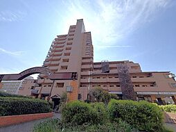 シティコーポ鳩岡B棟