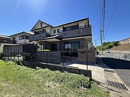 日進市岩崎町阿良池