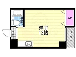ヤーニング大国