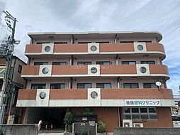 グレースサンシャイン