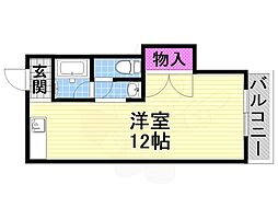 カサベルデー柳