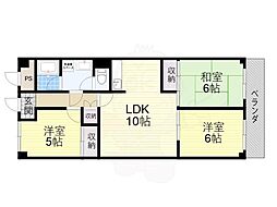 シロハイヌ今米