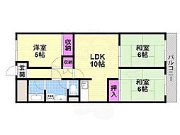 シロハイヌ今米