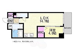LEGALAND猫MIYAKOJIMA