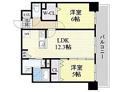 ハナミズキ福島