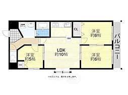 ハイクオリティアドニス