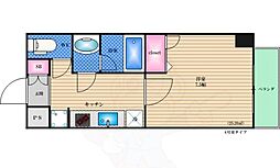 プランドールコート