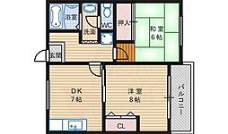 シダーコート