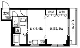 志幸56 OLIVE 302