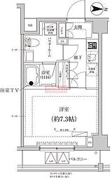 CREAL premier大島 106