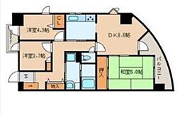 カリフール東中延 501