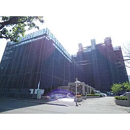 札幌市東区北十二条東５丁目