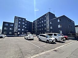 札幌市白石区菊水元町二条２丁目