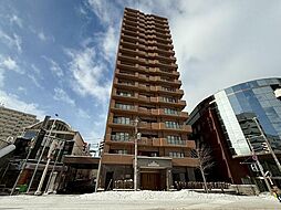 札幌市厚別区厚別中央二条５丁目