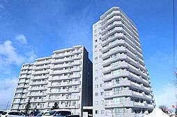 札幌市北区新琴似五条１７丁目