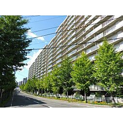 札幌市厚別区大谷地東７丁目