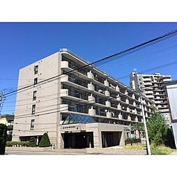 エルシオン琴似