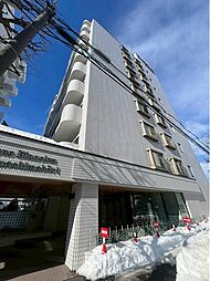 ライオンズマンション中の島通り