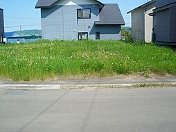 小泉675番A 売地