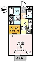 ヴァレンティ 203