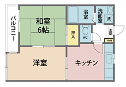 サンフラワー 101