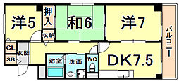 シェルコート南甲子園 303