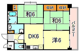 プラントパイン御影 501