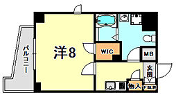シャロン灘 501