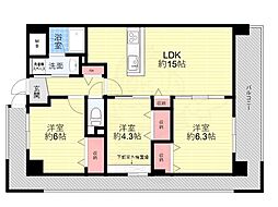 ビオラベール 501