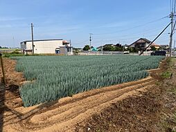 下妻市売地