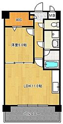 マメゾン金楽寺