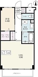 アコール鍋島 303
