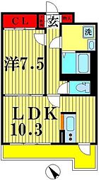 松戸市松戸新田