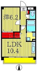 ブラウニー・ココ