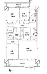 ネオハイツ江戸川台A棟