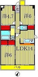 サンシャイン柏の葉