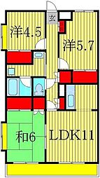 ロッキー天王台