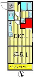 アルチェコート