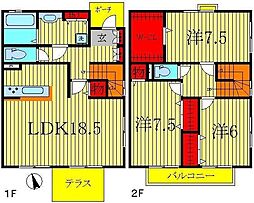 フリージア