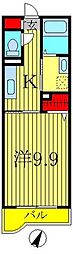 ルピナス