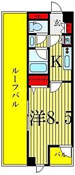 ミモザ 505