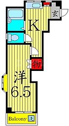 パール街路樹 403